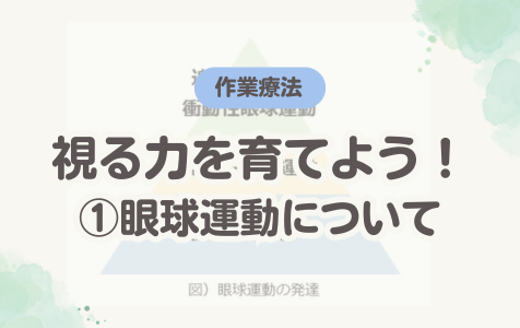 視る力を育てよう！① 眼球運動について